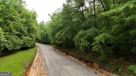12+ Acres in Greene County - image 10