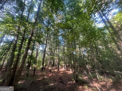 12+ Acres in Greene County - image 3