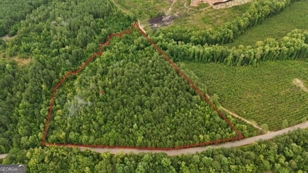 12+ Acres in Greene County - image 1