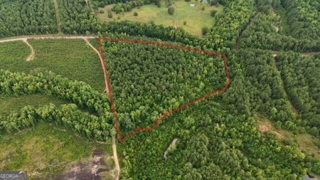 12+ Acres in Greene County - image 12