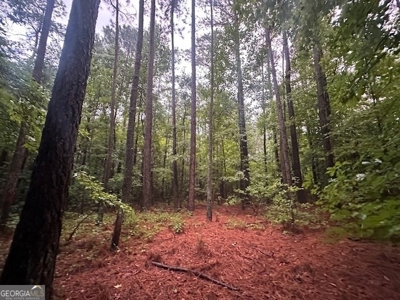 12+ Acres in Greene County - image 5