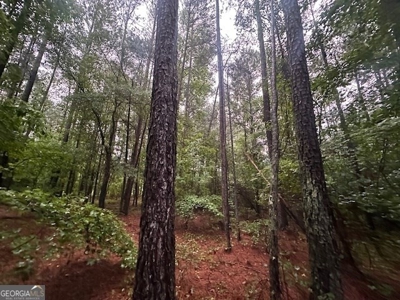 12+ Acres in Greene County - image 6