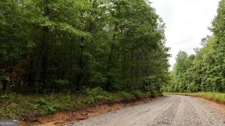12+ Acres in Greene County - image 9
