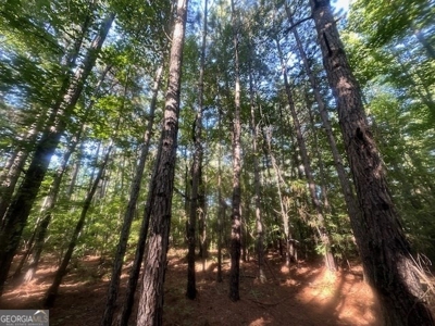 12+ Acres in Greene County - image 2
