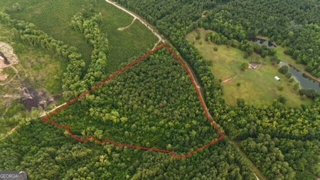 12+ Acres in Greene County - image 11