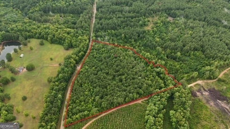 12+ Acres in Greene County - image 13