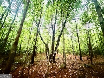 12+ Acres in Greene County - image 7