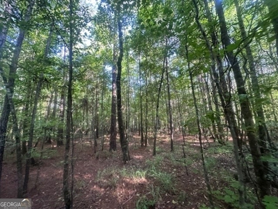 12+ Acres in Greene County - image 16