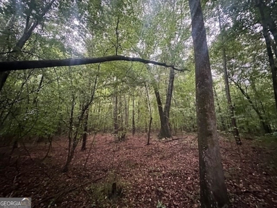 12+ Acres in Greene County - image 8