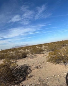 Land For Sale - image 1