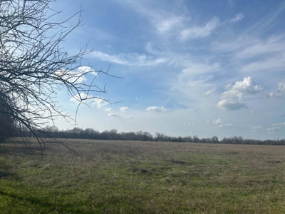 103 ± Acre Farm/Ranch for Sale in Hugo, Oklahoma! - image 3