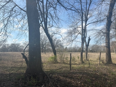 103 ± Acre Farm/Ranch for Sale in Hugo, Oklahoma! - image 5