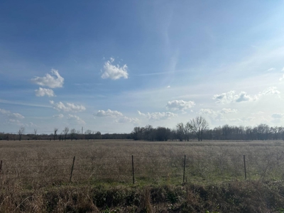 55.56 ± Acres for Sale in Hugo, Oklahoma - image 3