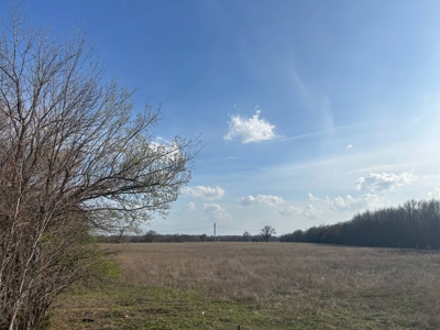 55.56 ± Acres for Sale in Hugo, Oklahoma - image 1