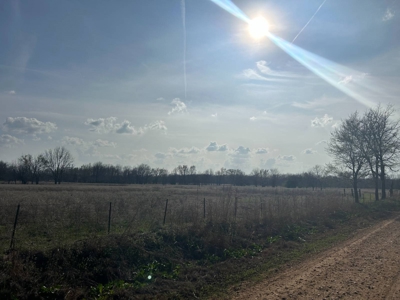 55.56 ± Acres for Sale in Hugo, Oklahoma - image 2