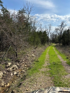 80± Acres for Sale in Valliant, Oklahoma - image 10