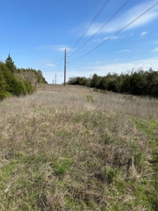 80± Acres for Sale in Valliant, Oklahoma - image 7
