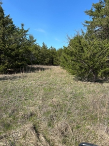 80± Acres for Sale in Valliant, Oklahoma - image 4