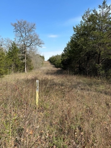 80± Acres for Sale in Valliant, Oklahoma - image 9