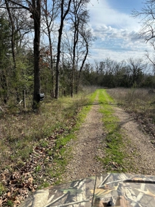 80± Acres for Sale in Valliant, Oklahoma - image 8