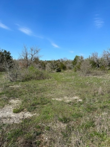80± Acres for Sale in Valliant, Oklahoma - image 2