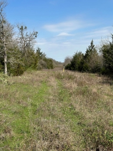 80± Acres for Sale in Valliant, Oklahoma - image 3