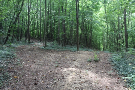 Untouched 283.99 Acres in Albemarle County, VA - image 17