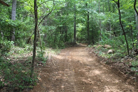 Untouched 283.99 Acres in Albemarle County, VA - image 9
