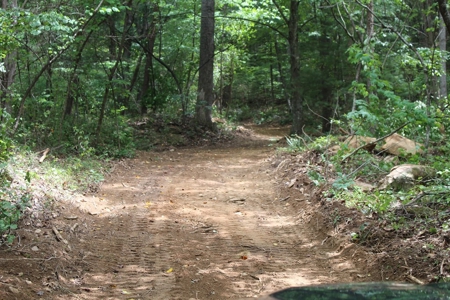 Untouched 283.99 Acres in Albemarle County, VA - image 8