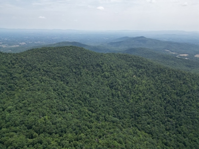 Untouched 283.99 Acres in Albemarle County, VA - image 5