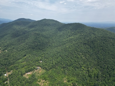 Untouched 283.99 Acres in Albemarle County, VA - image 7