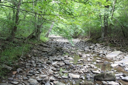 Untouched 283.99 Acres in Albemarle County, VA - image 20