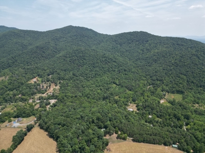 Untouched 283.99 Acres in Albemarle County, VA - image 3