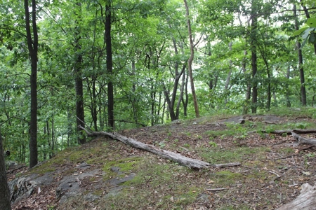 Untouched 283.99 Acres in Albemarle County, VA - image 18