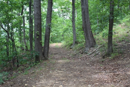 Untouched 283.99 Acres in Albemarle County, VA - image 14