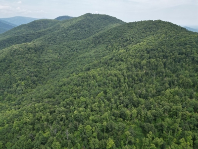 Untouched 283.99 Acres in Albemarle County, VA - image 6