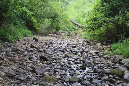 Untouched 283.99 Acres in Albemarle County, VA - image 19