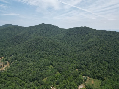 Untouched 283.99 Acres in Albemarle County, VA - image 2