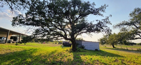 Central Tx Hunting Ranch & home in Concho & Menard Counties - image 27