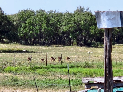 Central Tx Hunting Ranch & home in Concho & Menard Counties - image 38
