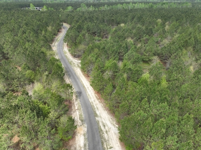 Stone Crest: 207+ Acres with Custom Home in Midville, GA - image 48
