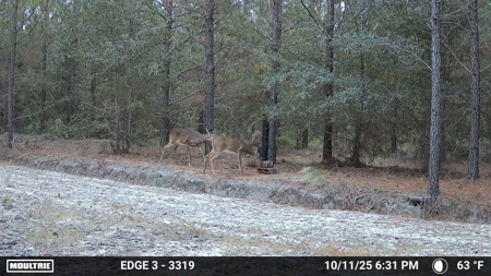 Stone Crest: 207+ Acres with Custom Home in Midville, GA - image 48