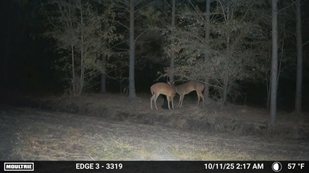 Stone Crest: 207+ Acres with Custom Home in Midville, GA - image 49