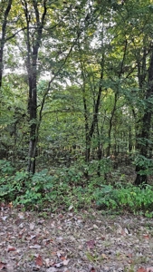 Vacant wooded land in Arkansas - image 9