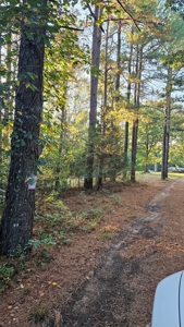 Vacant wooded land in Arkansas - image 8
