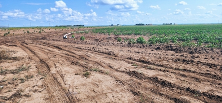 Irrigated Farmland near San Angelo, Texas in Wall - image 7
