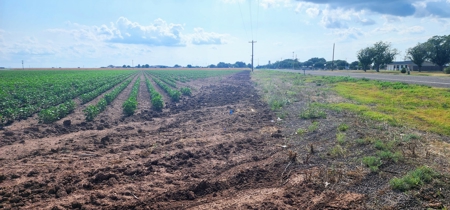 Irrigated Farmland near San Angelo, Texas in Wall - image 9