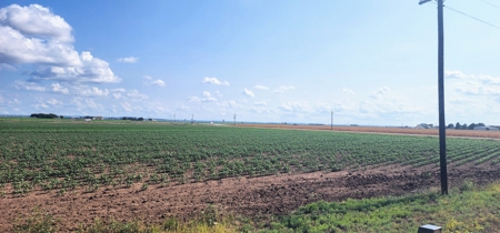 Irrigated Farmland near San Angelo, Texas in Wall - image 6