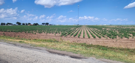 Irrigated Farmland near San Angelo, Texas in Wall - image 1