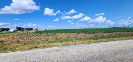 Irrigated Farmland near San Angelo, Texas in Wall - image 8